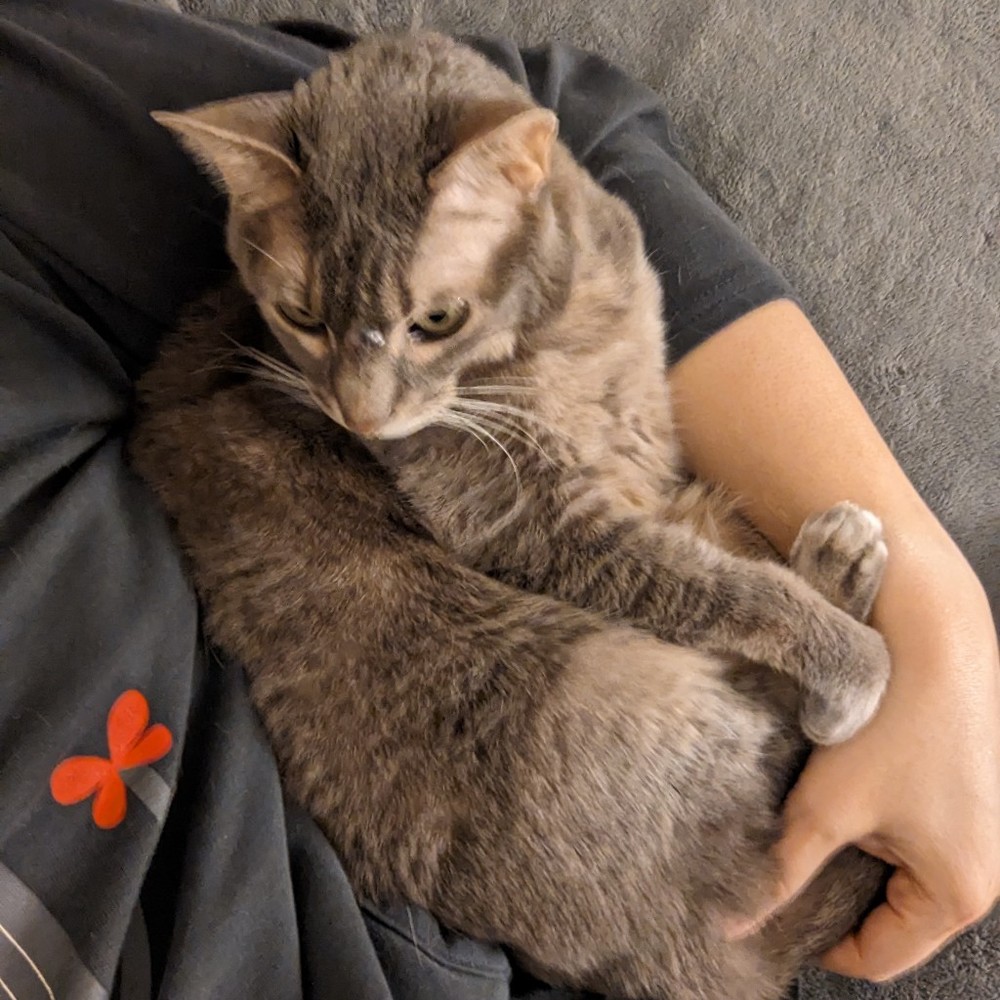 Welcome to my clutter!!  =)